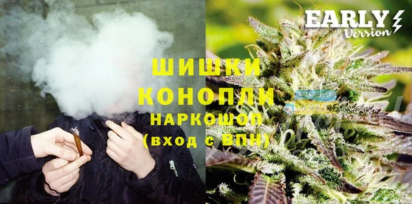 тгк Горняк