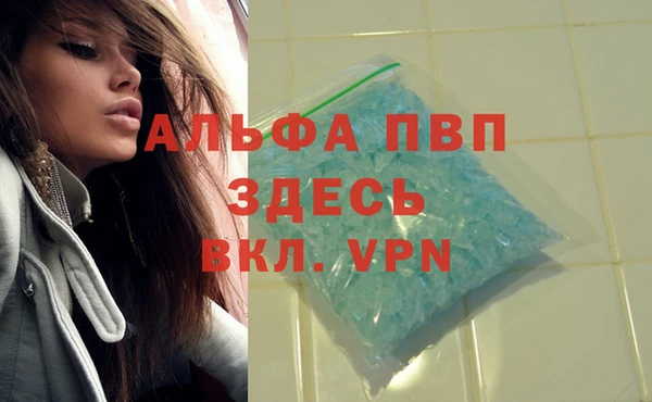 тгк Горняк