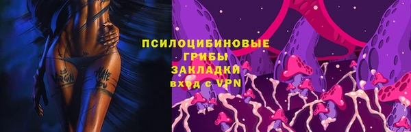 тгк Горняк