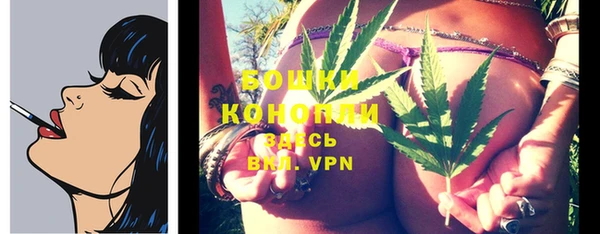 тгк Горняк