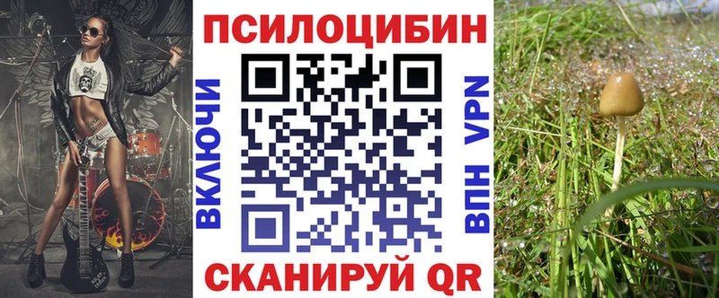 магазин продажи наркотиков  Стерлитамак  Галлюциногенные грибы Psilocybe 